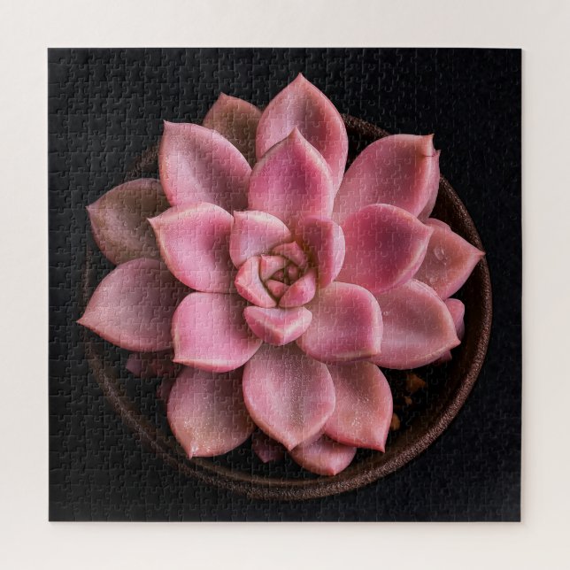 Puzzle Succulente  (Vertical)