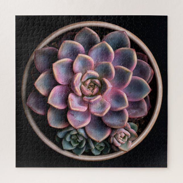 Puzzle Succulente  (Vertical)