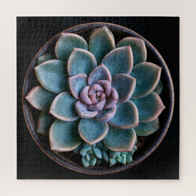 Puzzle Succulente  (Vertical)