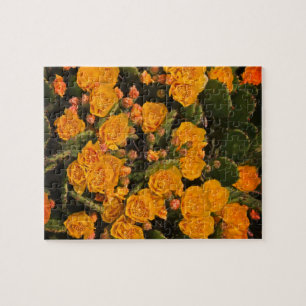 Puzzle Succulents Fleurs de jardin Plantes verts jaunes