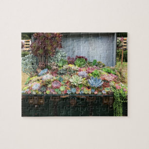Puzzle Succulents in Treasure Chest