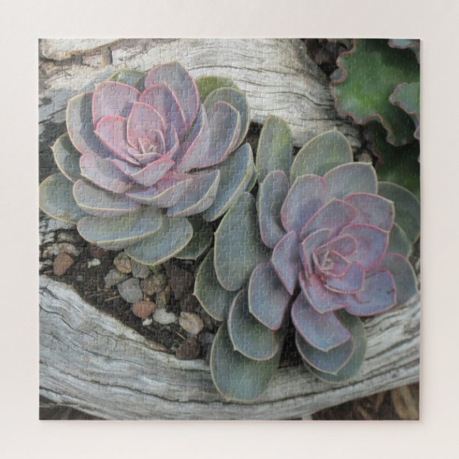 Puzzle Succulents Sur Bois Déchiré (Vertical)