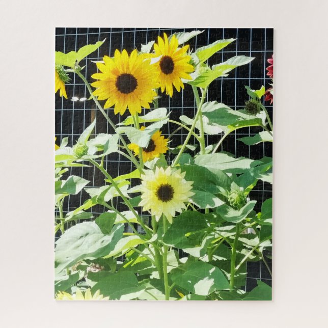 Puzzle Sunflowers (Vertical)