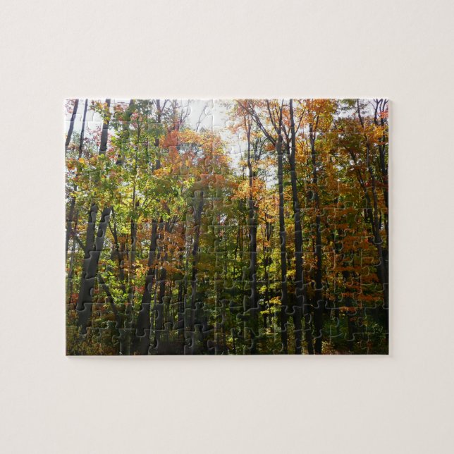 Puzzle Sunlit Fall Forest Paysage d'automne (Horizontal)