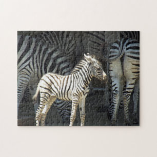 Puzzle Sunny Baby Zebra