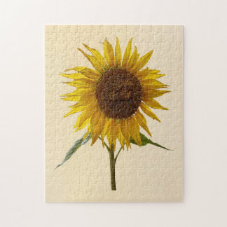 Puzzle Sunny Sunflower