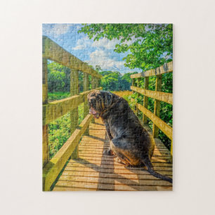 Puzzle Superbe Mastiff napolitain 
