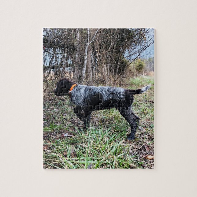 Puzzle Sur le chiot de point (Vertical)
