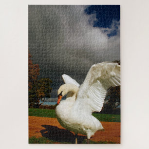 Puzzle Swan