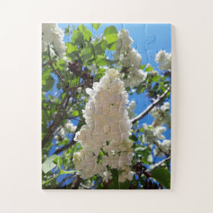 Puzzle Syringa, Arbre à fleurs blanc Lilac