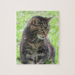 Puzzle Tabby Cat Jigsaw