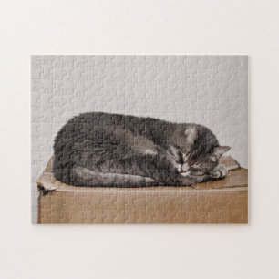 Puzzle Tabby Cut Gris Chat Dormir Sur Boîte