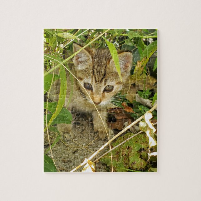 Puzzle Tabby kitten (Vertical)