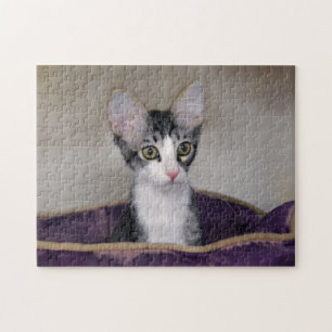 Puzzle Tabby Kitten dans un lit violet
