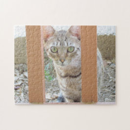 Puzzle - Tabby Kitten durch Railing