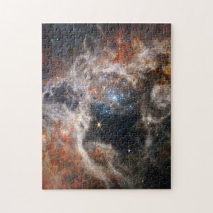 Puzzle Tarantula Nebula Image de JWST