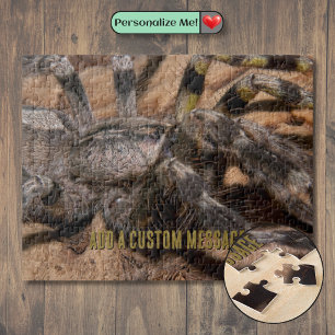 Puzzle Tarantule ornementale indienne