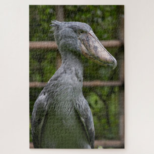 Puzzle Taupe (Balaeniceps rex)