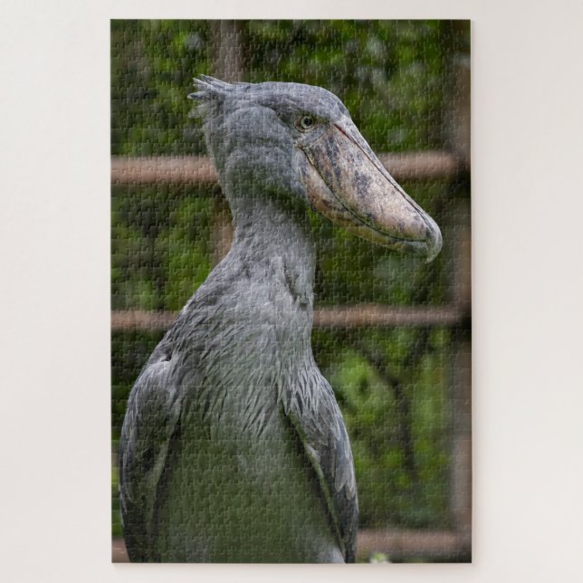 Puzzle Taupe (Balaeniceps rex) (Vertical)