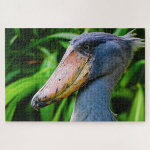 Puzzle Taupe (Balaeniceps rex)
