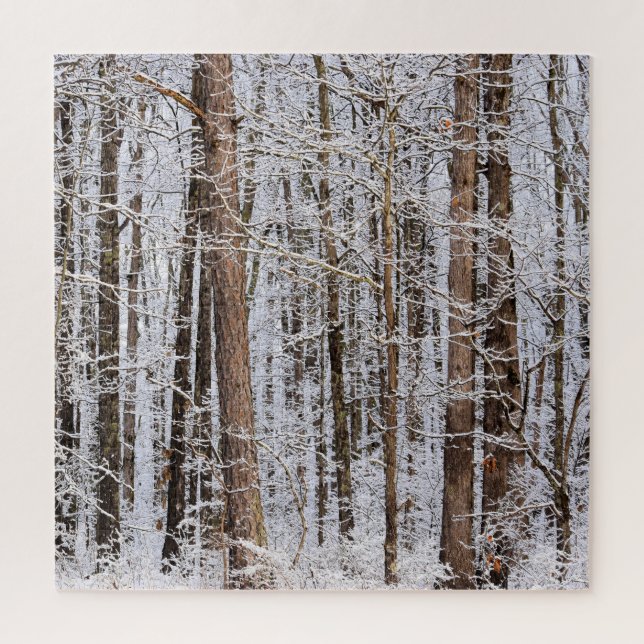Puzzle Tempête glaciaire d'hiver dans la forêt (Vertical)