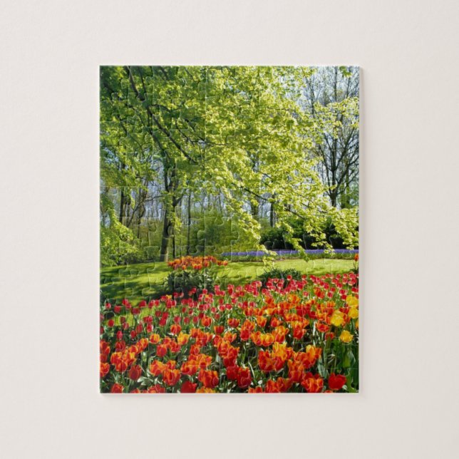 Puzzle Temps de tulipe, jardins chez Keukenhof (Vertical)