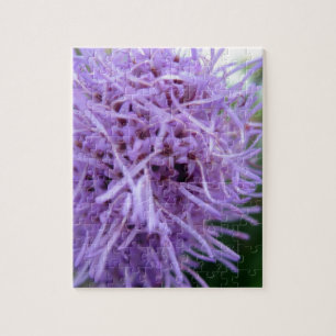 Puzzle Tentacle Spider Violet Flower