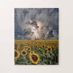 Puzzle Terrain De Tournesol Dans Une Tempête