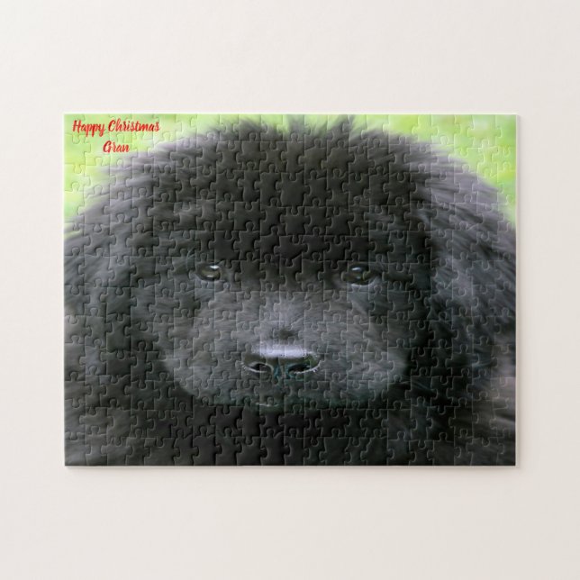 Puzzle Terre-Neuve. (Horizontal)