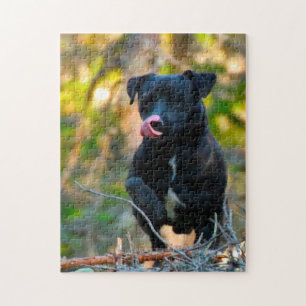 Puzzle Terrier de Patterdale.