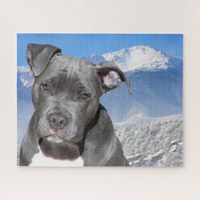 Puzzle Terrier Pitbull. (Horizontal)
