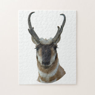 Puzzle Tête d'antilope pronghorn A19