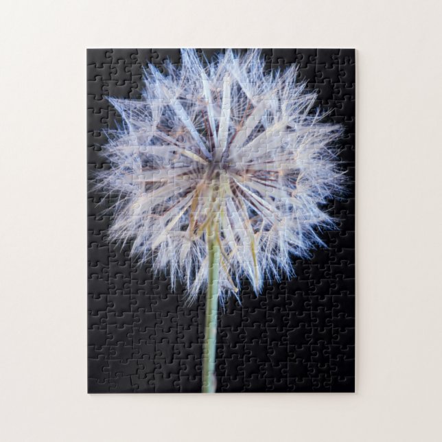 Puzzle Tête de graine de Pissenlit (Taraxacum Officinale) (Vertical)