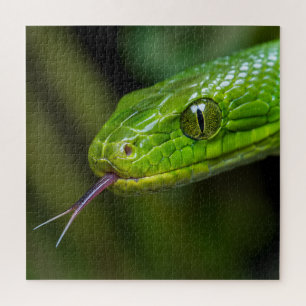 Puzzle Tête de serpent vert