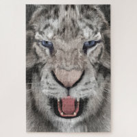 Tête de Tigre Blanc Esthétique Faunique