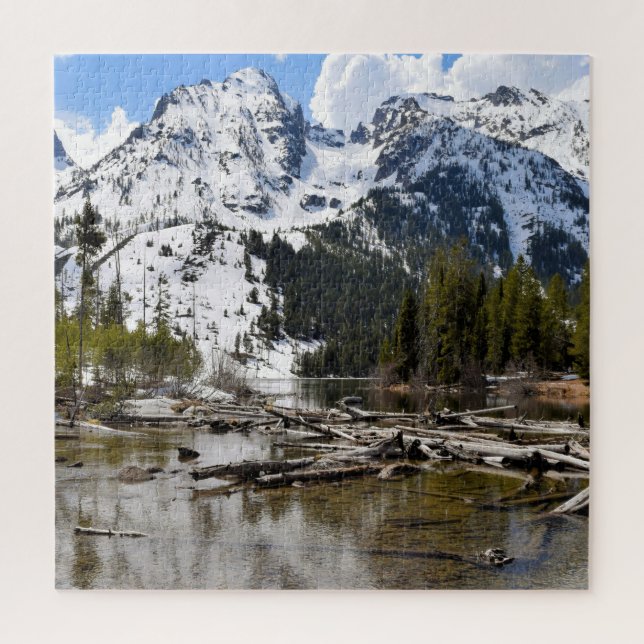 Puzzle Teton Mountain Stream Reflections - 20x20 - 676 pc (Vertical)