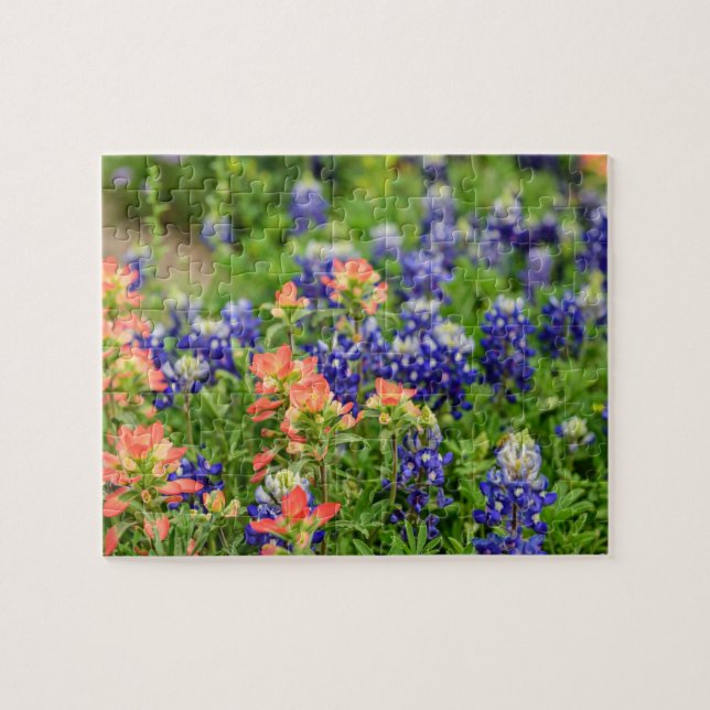 Puzzle Texas Bluebonnets et pinceaux rouges fleur sauvage (Horizontal)