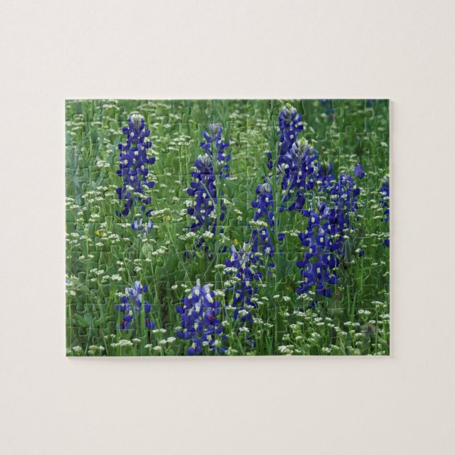 Puzzle Texas, lac Buchanan. Bluebonnet et sauvage du Texa (Horizontal)