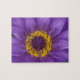 Puzzle Thaïlande, Bangkok, Lotus jaune et violet