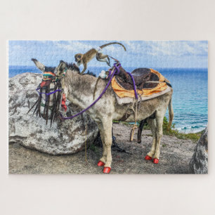 Puzzle The Monkey on the Donkey - Only in St. Kitts