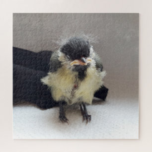 Puzzle Tidi my Bird le Parus Major