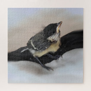 Puzzle Tidi my Bird le Parus Major