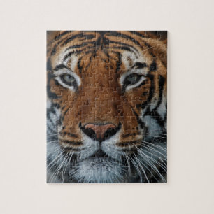 Puzzle Tiger Chat Stripes Jungle Mist Animal