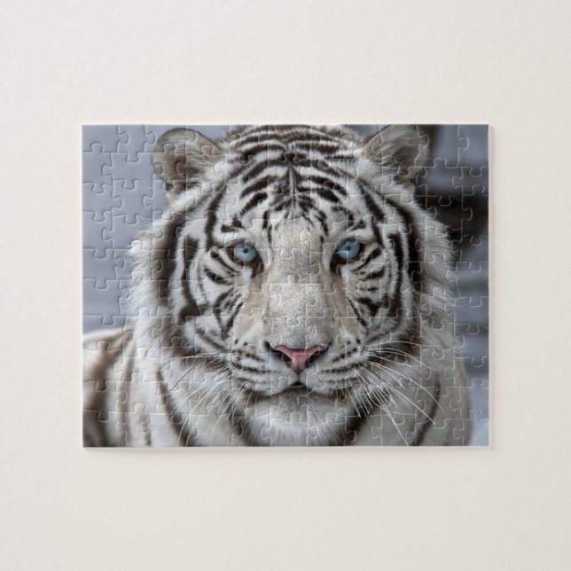 Puzzle-Tiger Jigsaw-Puzzle (Horizontal)