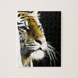 Puzzle Tigre