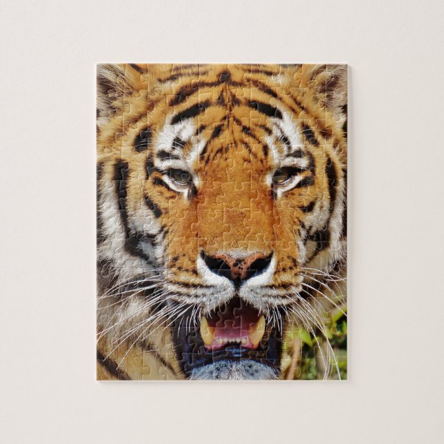Puzzle Tigre (Vertical)