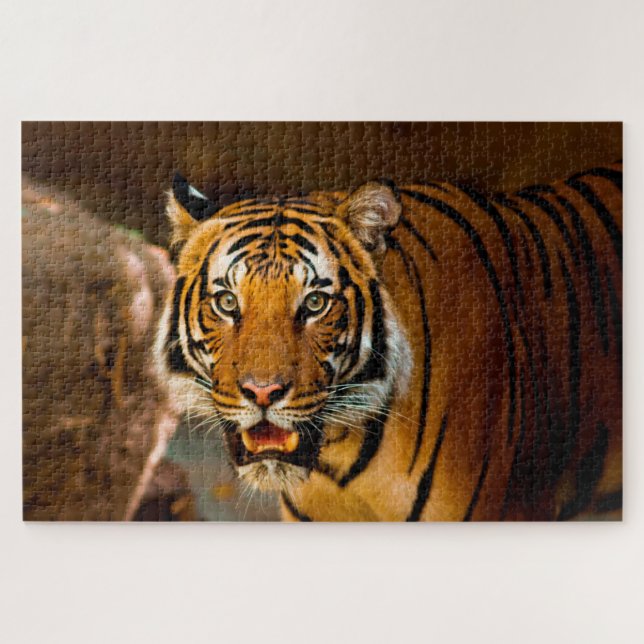 Puzzle Tigre (Horizontal)