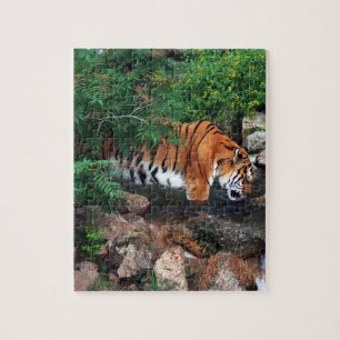 Puzzle Tigre à la chute