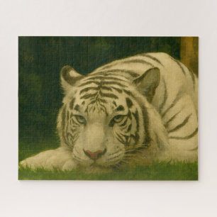 Puzzle Tigre blanc reposant dans l'ombre des bois