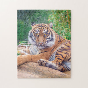 Puzzle Tigre de rappel relaxant